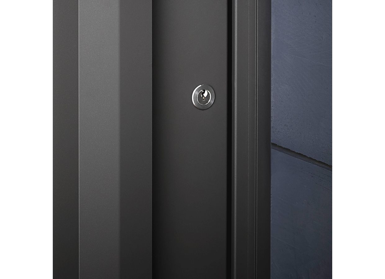 Porte d'entrée Amauryne Aluminium - Portes
