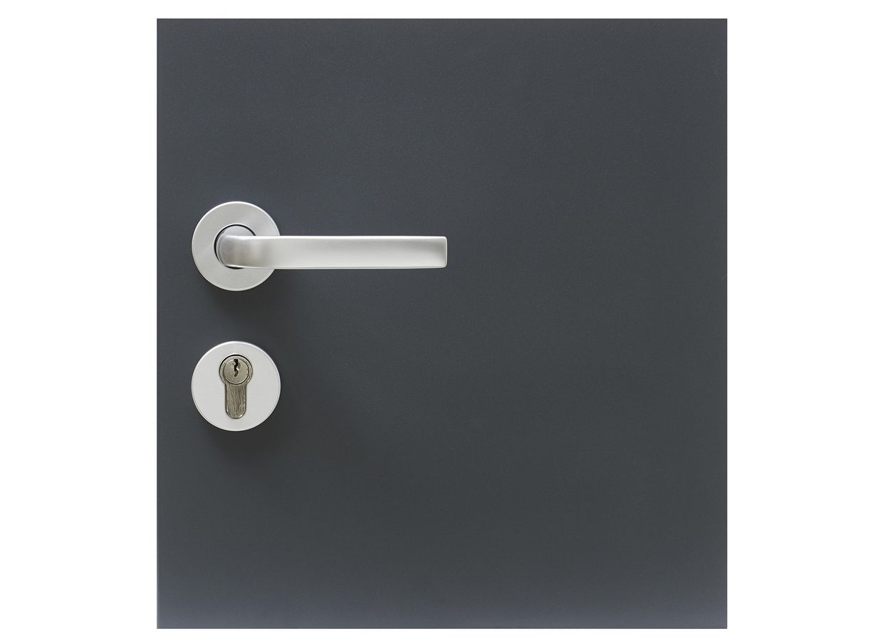 Porte d'entrée Anouk Aluminium sur-mesure - Lapeyre