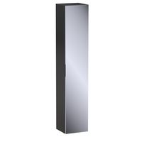 Colonne 1 porte miroir Formeo noir mat P H180xL35xP33 D Main Image