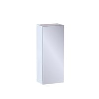 Haut 1 porte miroir Formeo blanc brillant P H75xL30xP20 D Main Image