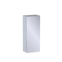 Haut 1 porte miroir Formeo gris lune mat P H75xL30xP20 D Main Image