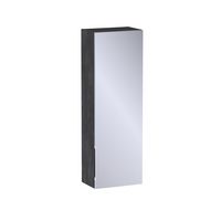 Haut 1 porte miroir Formeo ardoise anthracite P H90xL30xP20 D Main Image