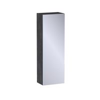 Haut 1 porte miroir Formeo ardoise anthracite P H90xL30xP20 G Main Image