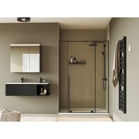 Porte de douche coulissante DURANCE 2-Lapeyre