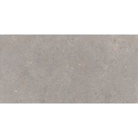 Carrelage GRANIT gris clair 30X60 ép. 8.5 mm aspect béton le m2 Main Image