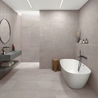 Carrelage sol GRANIT gris clair 30X60 cm-Lapeyre