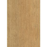 Sol stratifié ACTUAL 25 chêne mythique 2,26m² Main Image