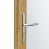 Porte-fenêtre 1 vantail Mitra chêne-Lapeyre