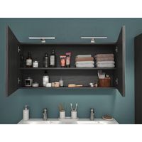 Armoire de toilette INFINY 2 portes miroir Infiny | Lapeyre
