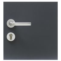 Porte d'entrée Sorbey Aluminium poignée Iris - Lapeyre