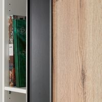 Porte de placard coulissante décor bois UNION | Lapeyre