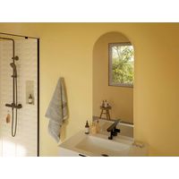 Miroir en arche inox brossé 50x120 cm FANNY
 - Lapeyre