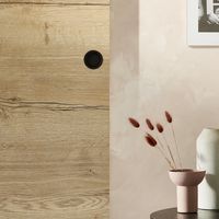 Porte coulissante ROXIE | Lapeyre