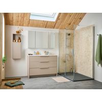 Armoire de toilette 2 portes Phoenix-Lapeyre