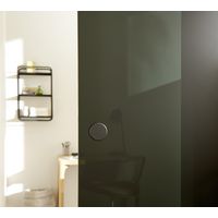 Porte coulissante ROXANNE en verre | Lapeyre