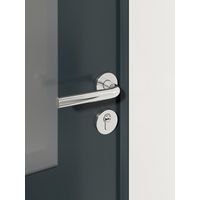 Porte d'entrée Anita Aluminium poignée Iris -Lapeyre