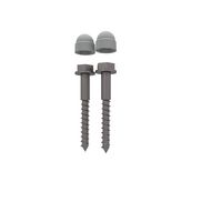 Tirefonds Ø10x80 sol bois, 2 pièces inox A2 + 2 bouchons pour PRESTIO gris clair Main Image