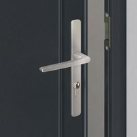 Porte  de service en aluminium ANAE Gris avec  barillet et poignée -Lapeyre