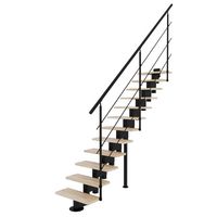 Echelle LONDON droit noir 12 marches hêtre incolore, avec rampe métal Main Image