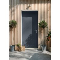 Porte d'entrée ALIANA PVC Gris/Blanc 215 x 90 cm-Lapeyre