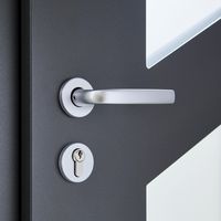 Porte d'entrée Angele Aluminium poignée Iris -Lapeyre