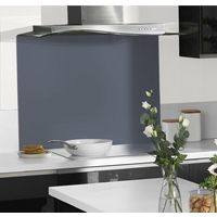 Fond de hotte en verre GRIS SOURIS H.70 x l.60 Main Image