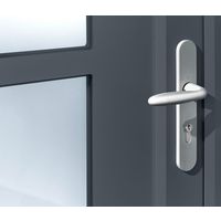 Porte d'entrée STELLA PVC Gris/Blanc 215 x 90 cm-Lapeyre