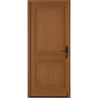 Porte d'entrée Talmont Bois exotique  - Portes - Lapeyre