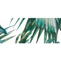 Carrelage CLOTILDE Poster Jungle 1.25 m x 1.20 m - Sols & murs