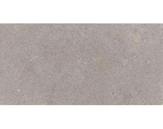 Carrelage sol GRANIT gris clair 30X60 cm