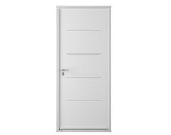 Porte d'entrée Nikita Acier