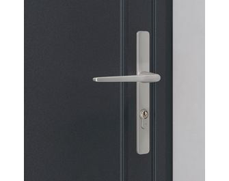 Porte  de service aluminium AUXANNE Gris avec  barillet et poignée