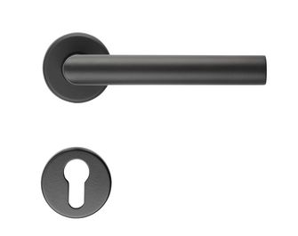 Ensemble poignée ISALYS noir à rosace à clé à barillet