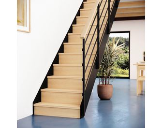 Escalier Esteban droit rampe Fera
