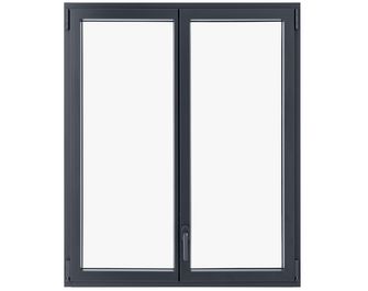 Fenêtre Graphique Aluminium