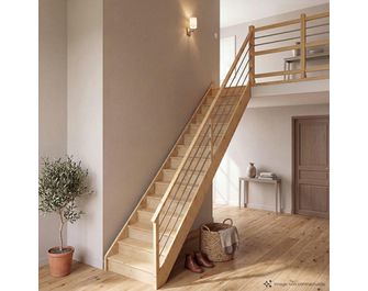 Escalier Faubourg droit rampe Régate tubes inox