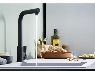 Mitigeur évier Onyx avec douchette