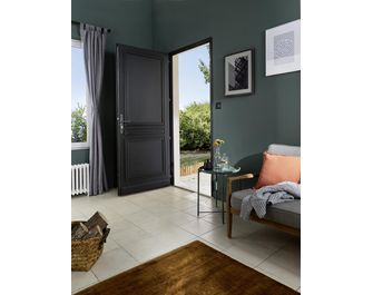 Porte d'entrée Talmont Bois exotique