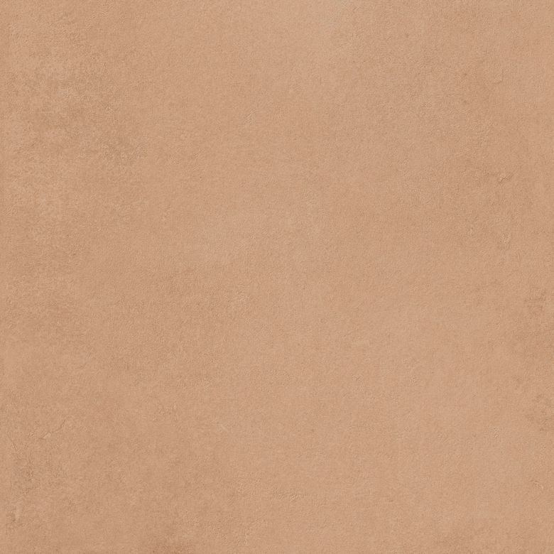 Carrelage de sol FELICIA terra 60X60 cm