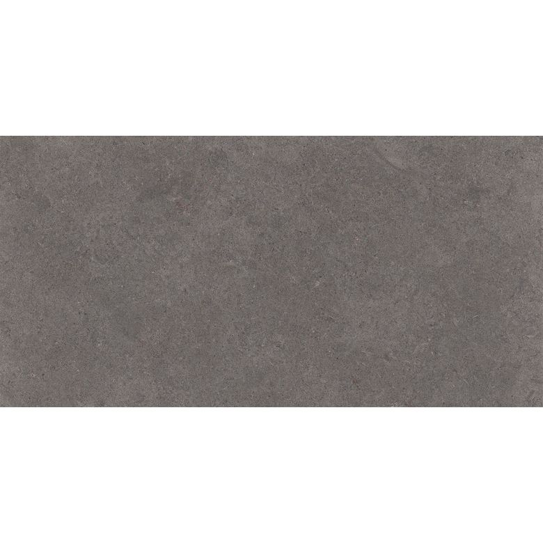 Carrelage sol GRANIT gris foncé 30X60 cm