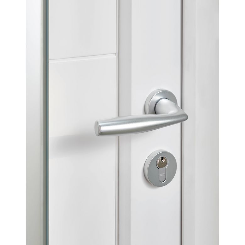 Porte d'entrée ALICE PVC Blanc 215 x 90 cm-Lapeyre