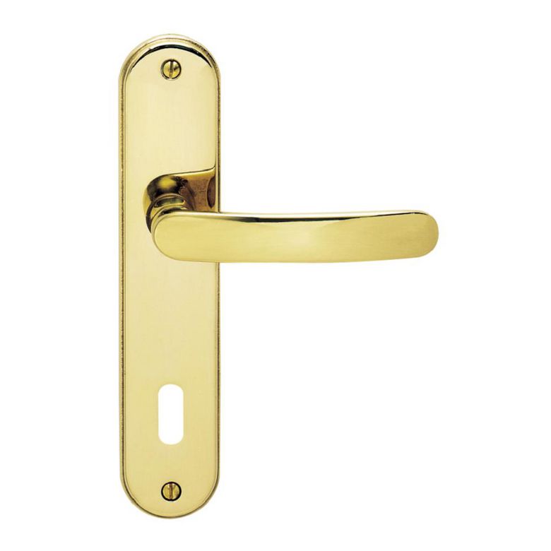 Poignée de porte XENON à plaque à clé