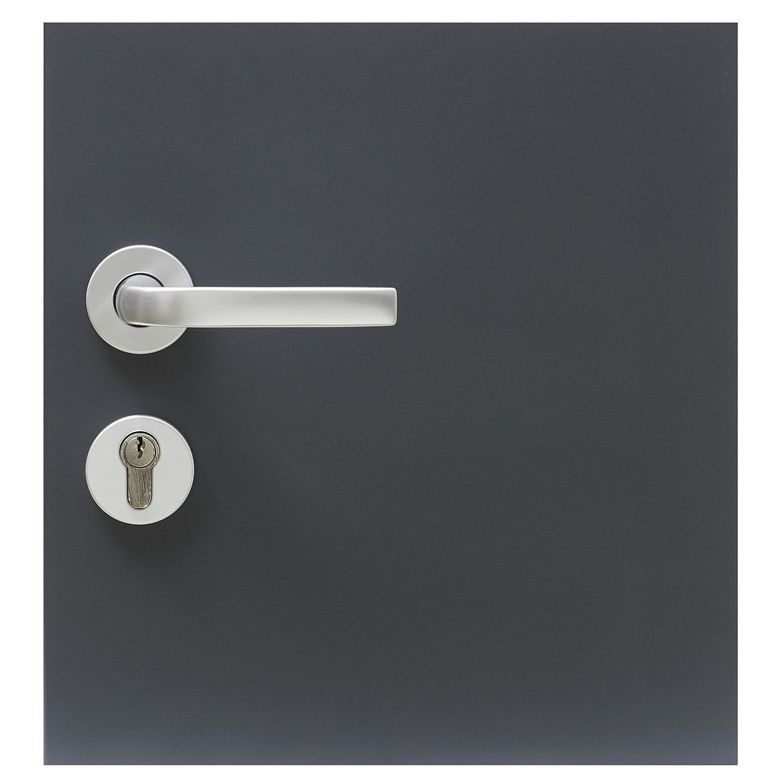 Porte d'entrée Sorbey Aluminium poignée Iris - Lapeyre