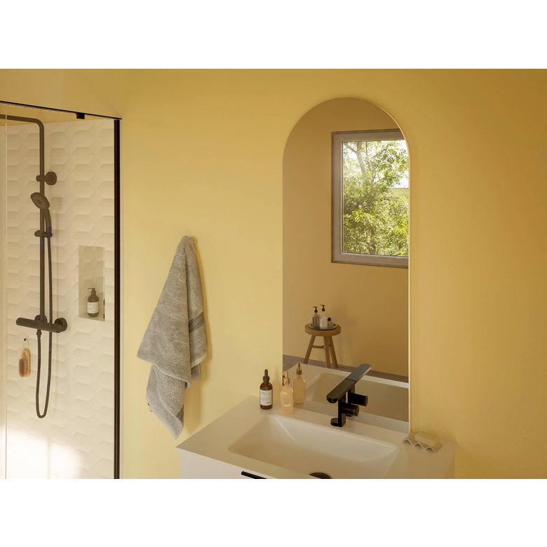 Miroir en arche inox brossé 50x120 cm FANNY
 - Lapeyre