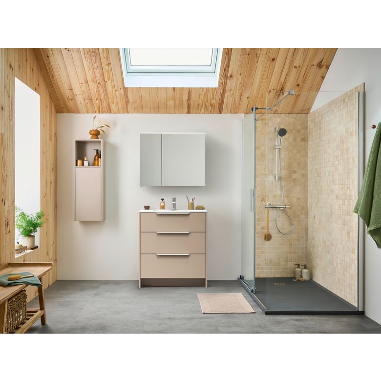 Armoire de toilette 2 portes Phoenix-Lapeyre