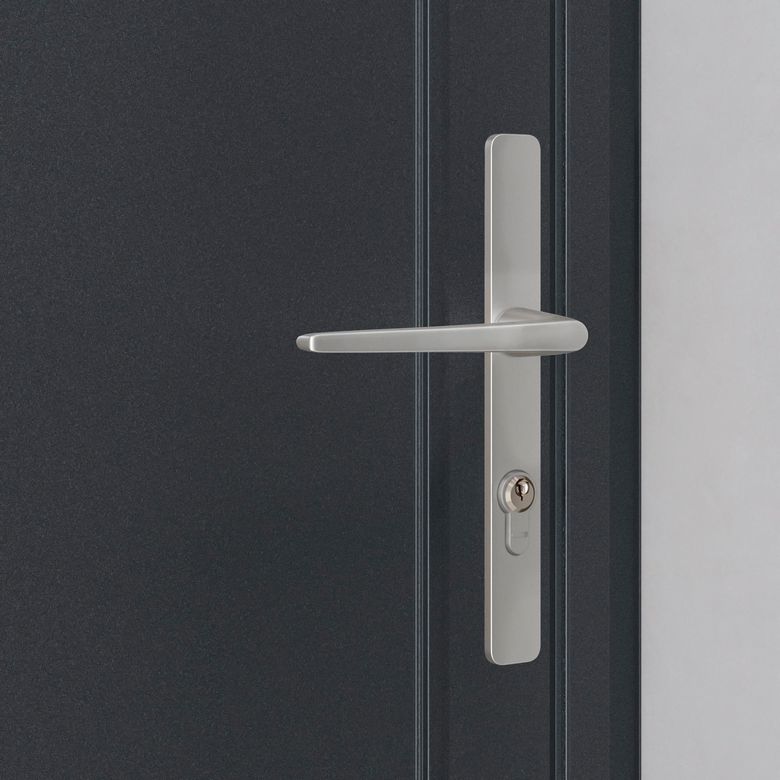 Porte  de service en aluminium AUXANNE Gris avec  barillet et poignée -Lapeyre