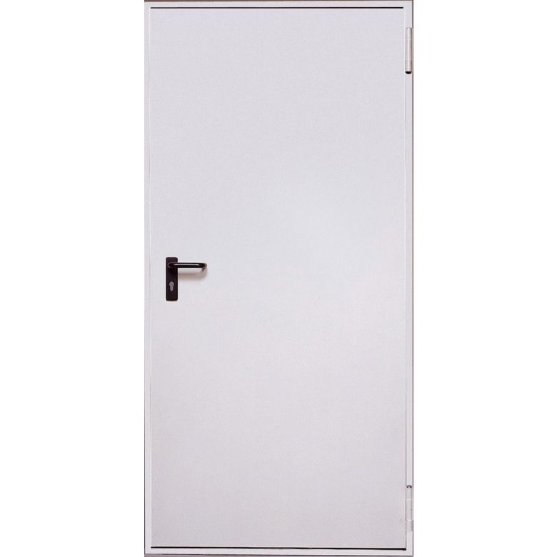 Porte de service métallique Coupe-feu 1 heure H.202.5 x l.100 réversible Main Image