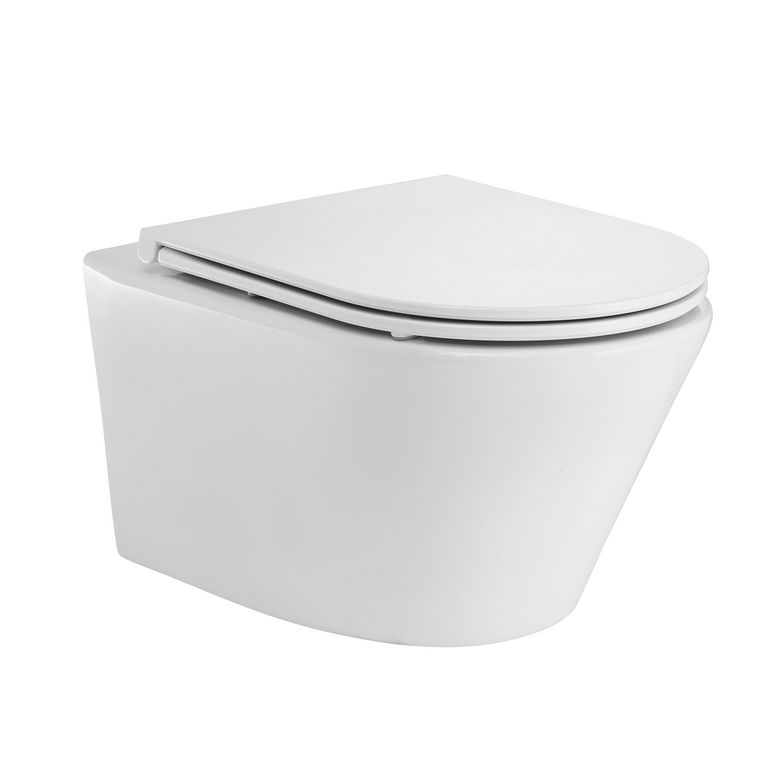 Cuvette suspendue Opus anticalcaire ss bride Gain de place + abat slim therm FDC Main Image