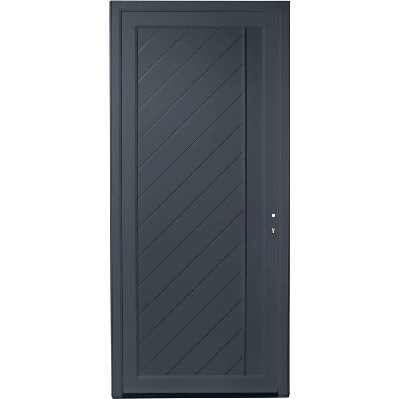 Porte d'entrée ALIANA PVC Gris 215 x 90 cm