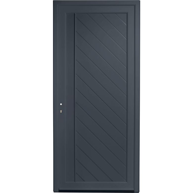 Porte d'entrée ALIANA PVC Gris 215 x 90 cm
